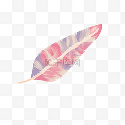 粉色水彩手绘羽毛