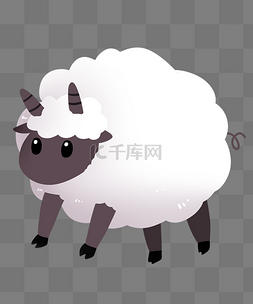 白色小绵羊羊羔