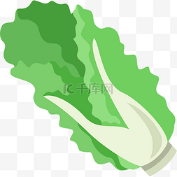 一颗绿色白菜