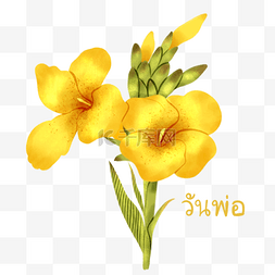 手绘彩色花束图片_黄色美人蕉花卉元素