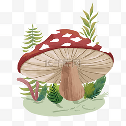 红色的蘑菇免抠图