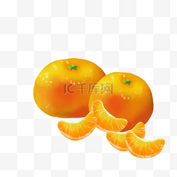 霜降橘子金桔