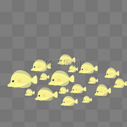 黄色鱼儿鱼群