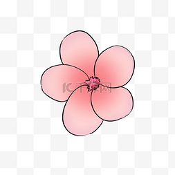 热带植物粉色花朵植物