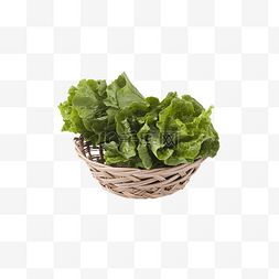 绿色清新植物生长图片_一篮子新鲜的生菜png素材