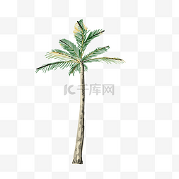椰子树海岛假日免扣