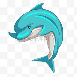 海洋海豚图片_海洋海豚卡通插画