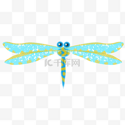 蓝色花纹翅膀蜻蜓