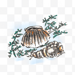 海螺手绘插画中国风