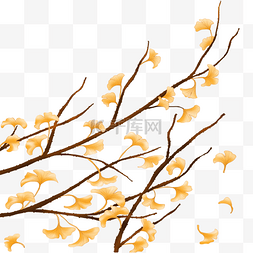 银杏树飘落树叶图片_银杏树纸