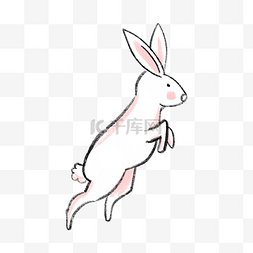 兔子跳跃图片_可爱的跳跃兔子