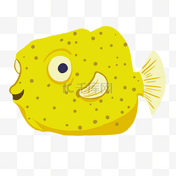 黄色鱼类图片_一条黄色鱼类