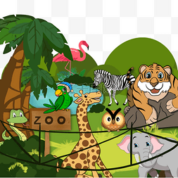 动物总动员zoo插画