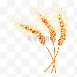 稻子麦子图片_稻子