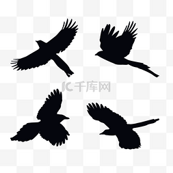 鸟类飞行图片_手绘黑色喜鹊飞行剪影