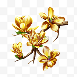 金色边框浮雕图片_鎏金玉兰花花朵