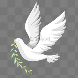 和平之鸽子图片_白鸽和平鸽