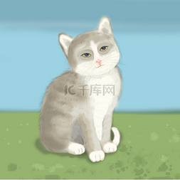 动物灰图片_仿真动物小灰猫漫画风格卡通手绘