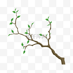 枝桠图片_冬天的一束枝桠