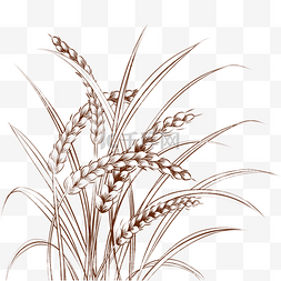 圆菜麦穗徽章图片_线描麦子麦穗