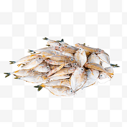 海鲜食材油叶鱼