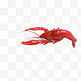 红色小龙虾