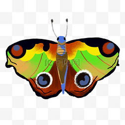 创意蝴蝶插画图片_彩色五彩斑斓的蝴蝶元素