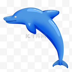 活波可爱蓝色海豚