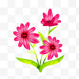 彩色植物花朵元素