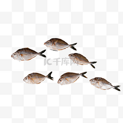 水产海鲜油叶鱼