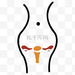 输卵管图片_子宫和输卵管内的女人的身体轮廓