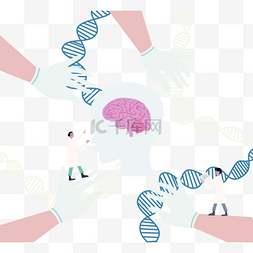 医基因图片_手绘脑器官医学插图