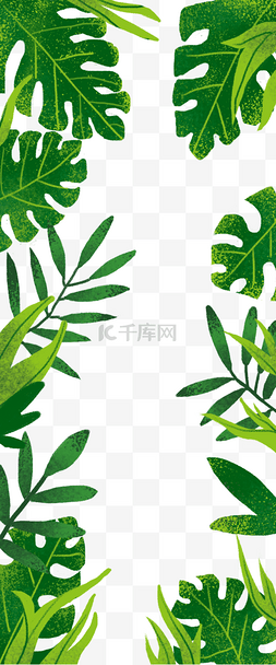 绿色芭蕉叶图片_芭蕉叶底纹边框