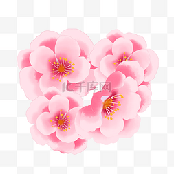 花朵粉红色桃花