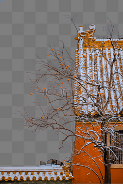 冬天雪景树枝图片_故宫的雪景