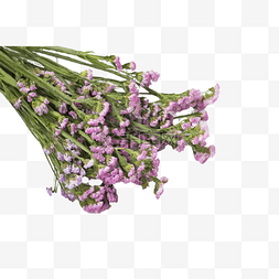 紫色清新勿忘我鲜花花束