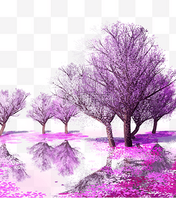 紫色落花图片_春日樱花树春天植物