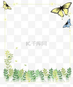 植物蝴蝶边框