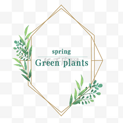 绿叶边框水彩图片_春季金丝水彩植物边框