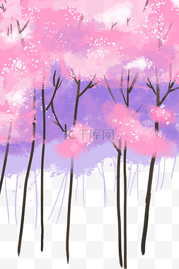 公园樱花图片_公园浪漫紫色粉色樱花树丛