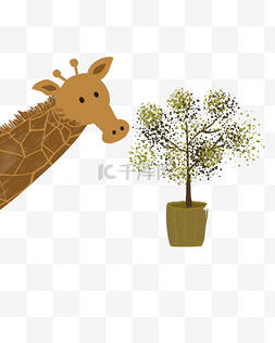 长颈鹿吃植物插画