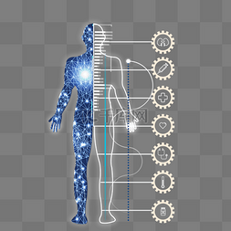 不断增强的元素图片_医疗人体结构