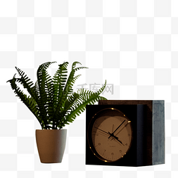 一盆盆栽和一个时钟