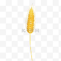 卡通黄色的麦子