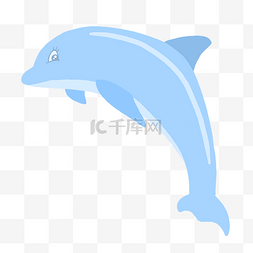游动海豚图片_玩耍海豚装饰