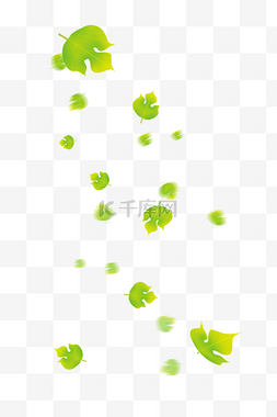 漂浮素材叶子图片_绿色漂浮叶子