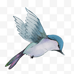 蓝色的卡通动物图片_飞翔的小鸟免抠图
