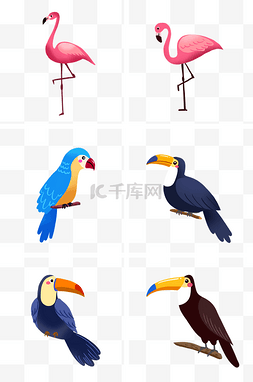卡通动物火烈鸟图片_各种热带鸟类组图PNG免抠素材