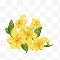 黄色花朵元素图片_迎春花黄色花朵绿叶