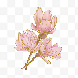 手绘水彩粉色玉兰花